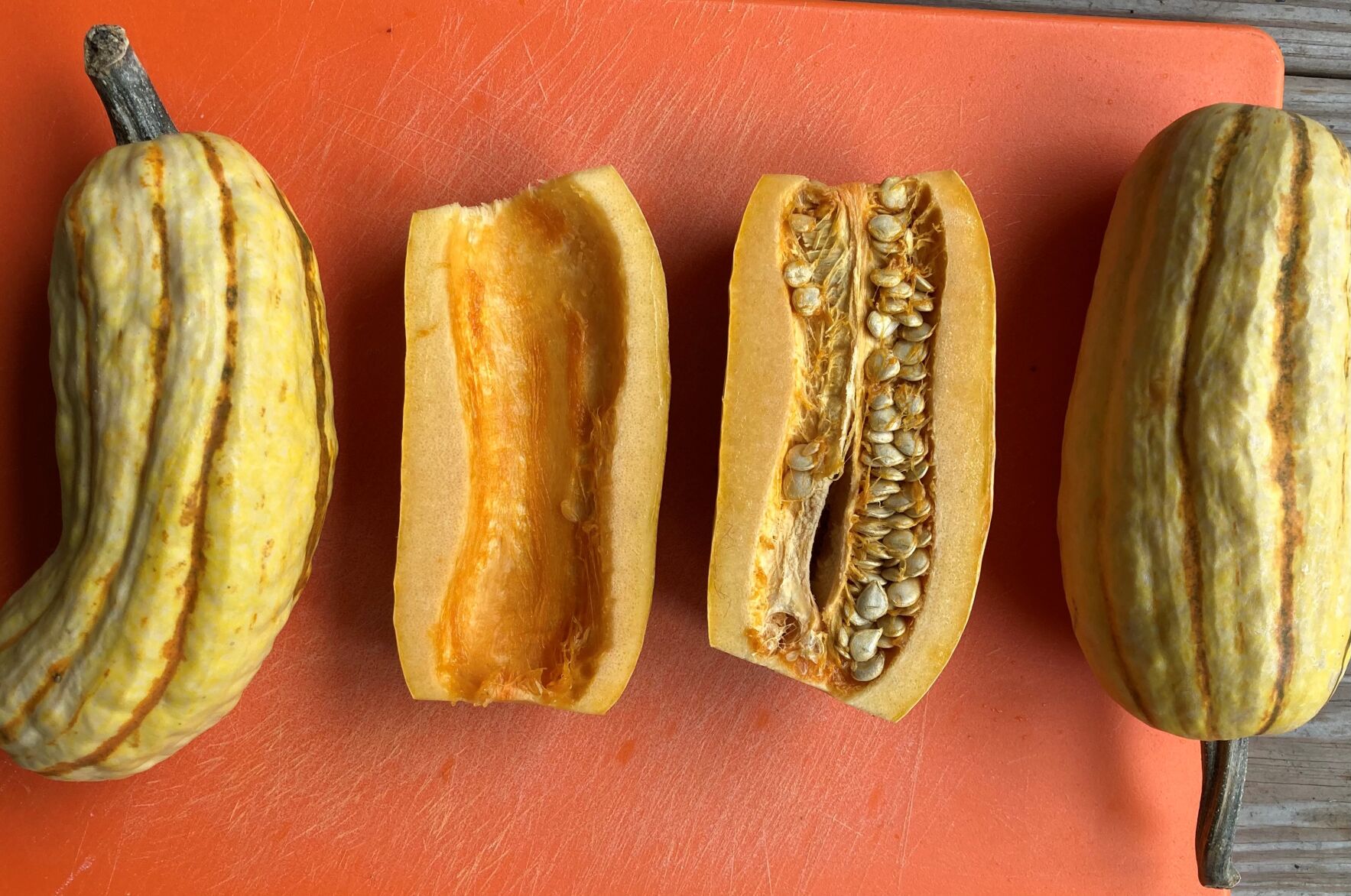 Delicata squash lineup